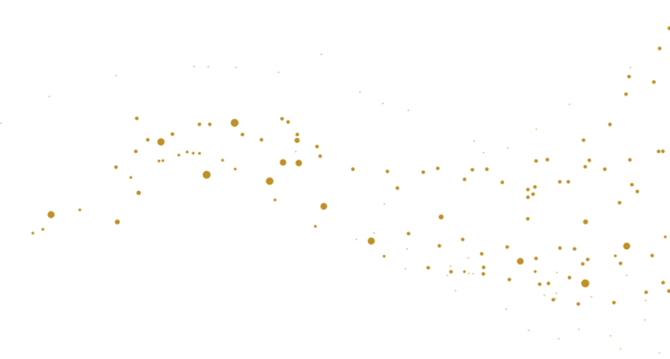 https://themendozas.rsvp/wp-content/uploads/2020/12/floating_image_19-1.png